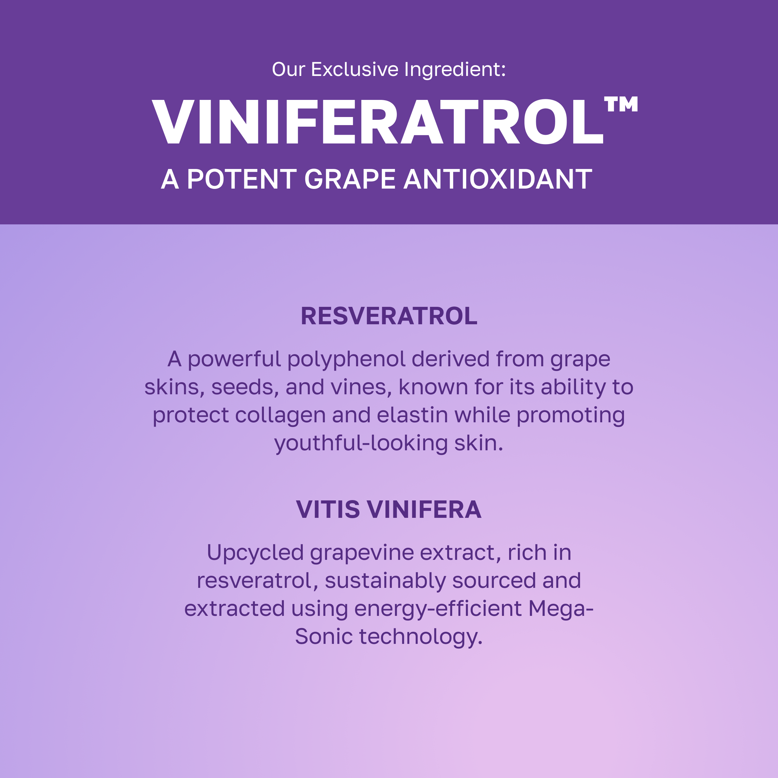 Vinoberry Bakuchi-oil™ Firming Ampoule 30ml