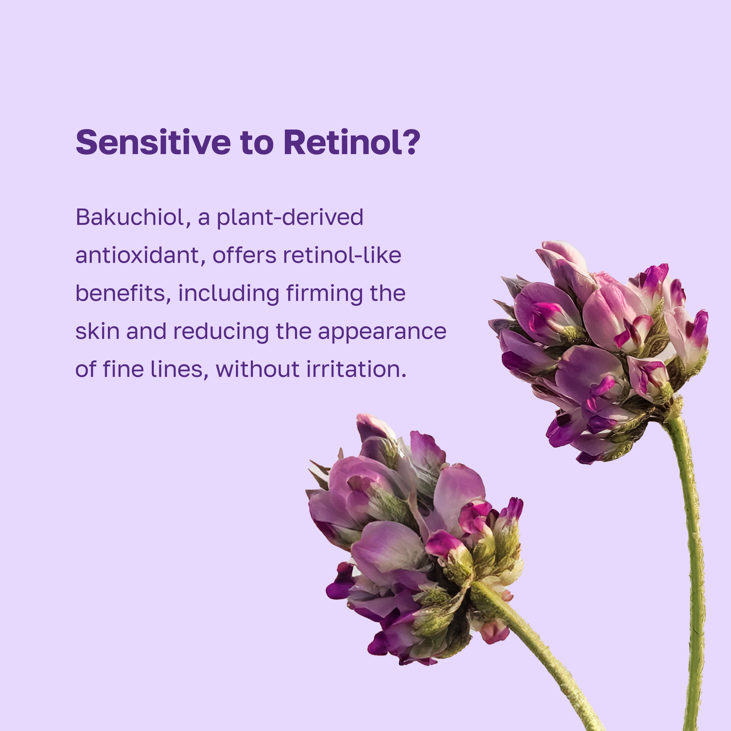 Vinoberry Bakuchi-oil™ Firming Ampoule 30ml