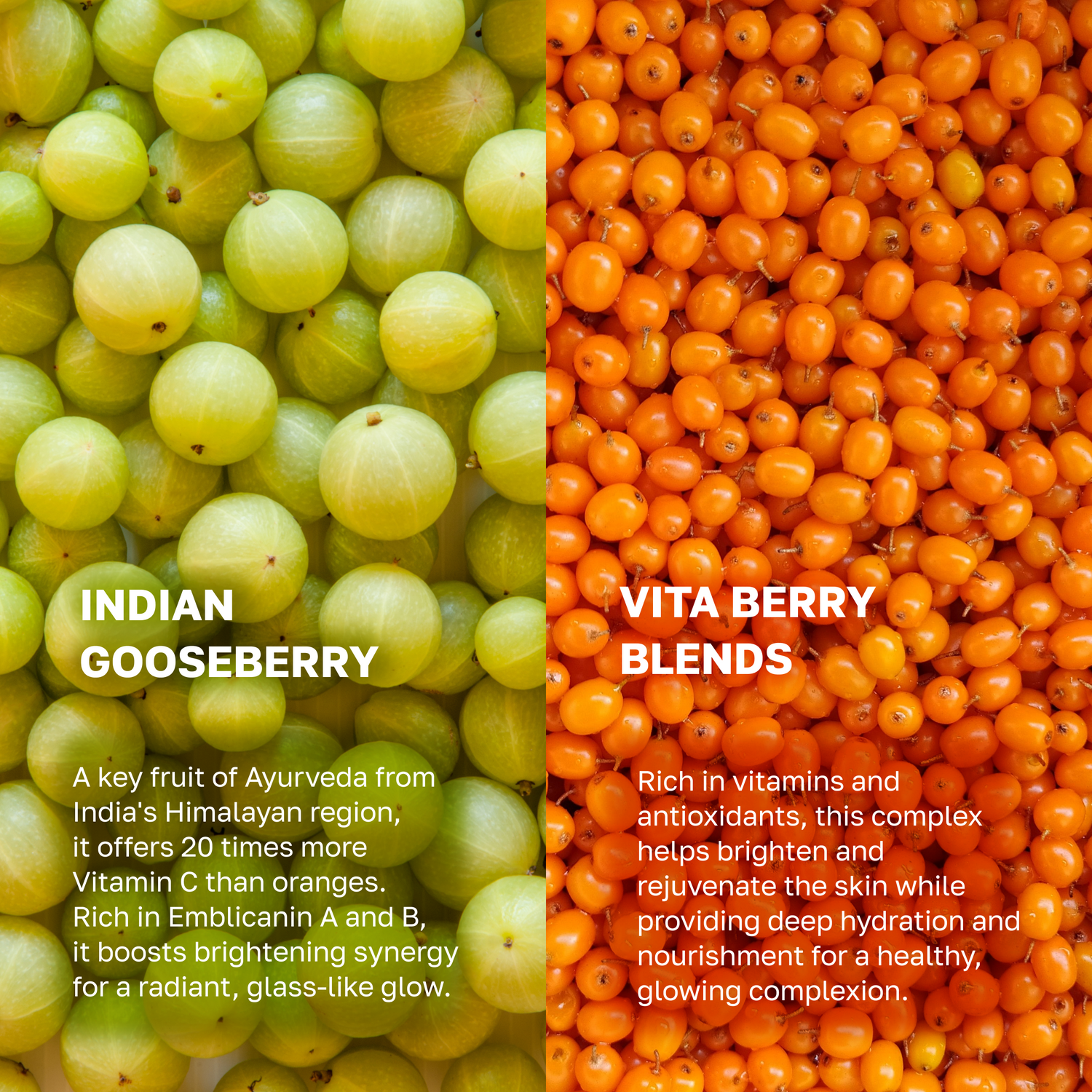 Gooseberry AHA Jelly Cleanser 120ml